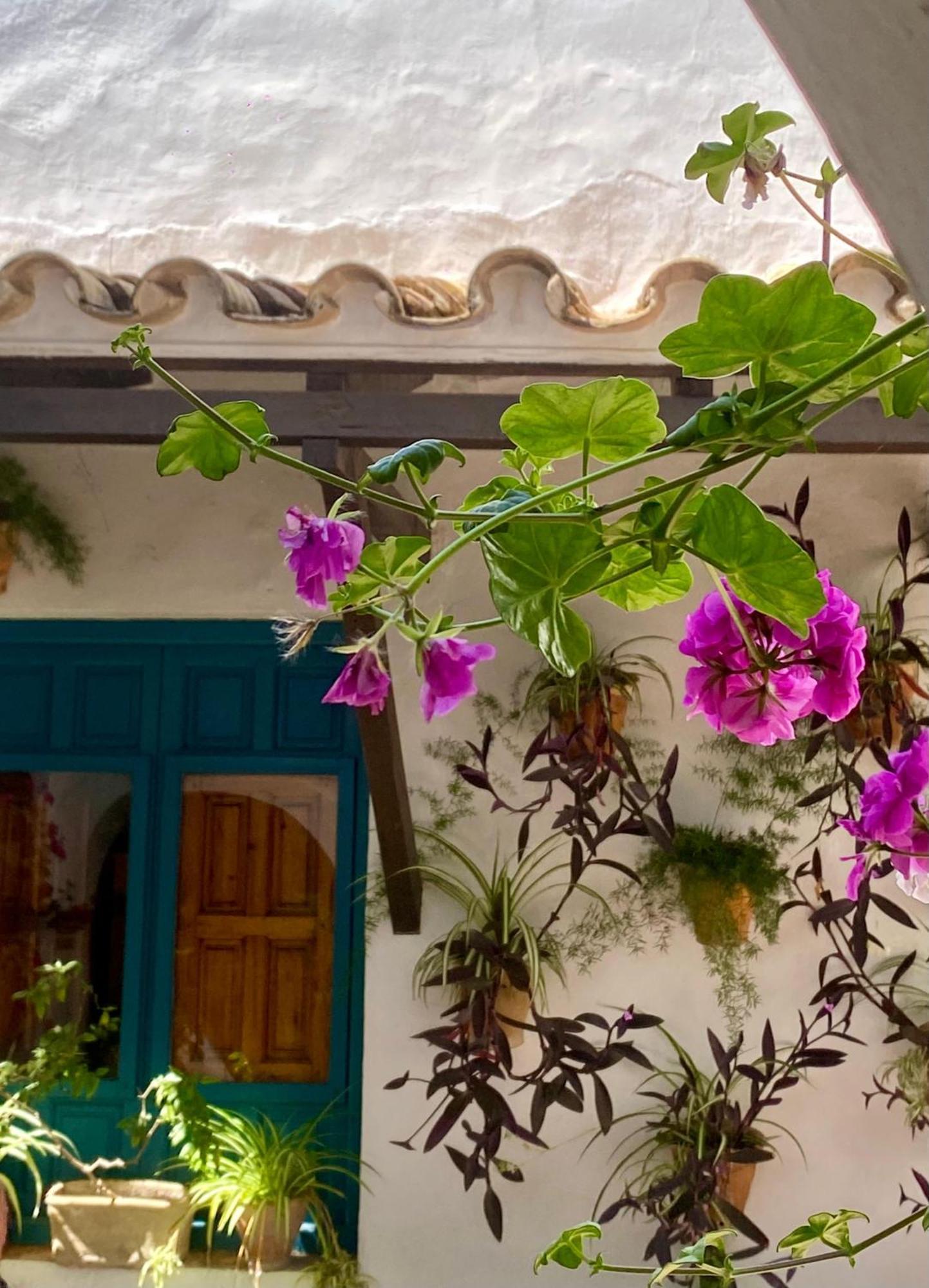 La Buganvilla De Santiago Кордоба Екстериор снимка