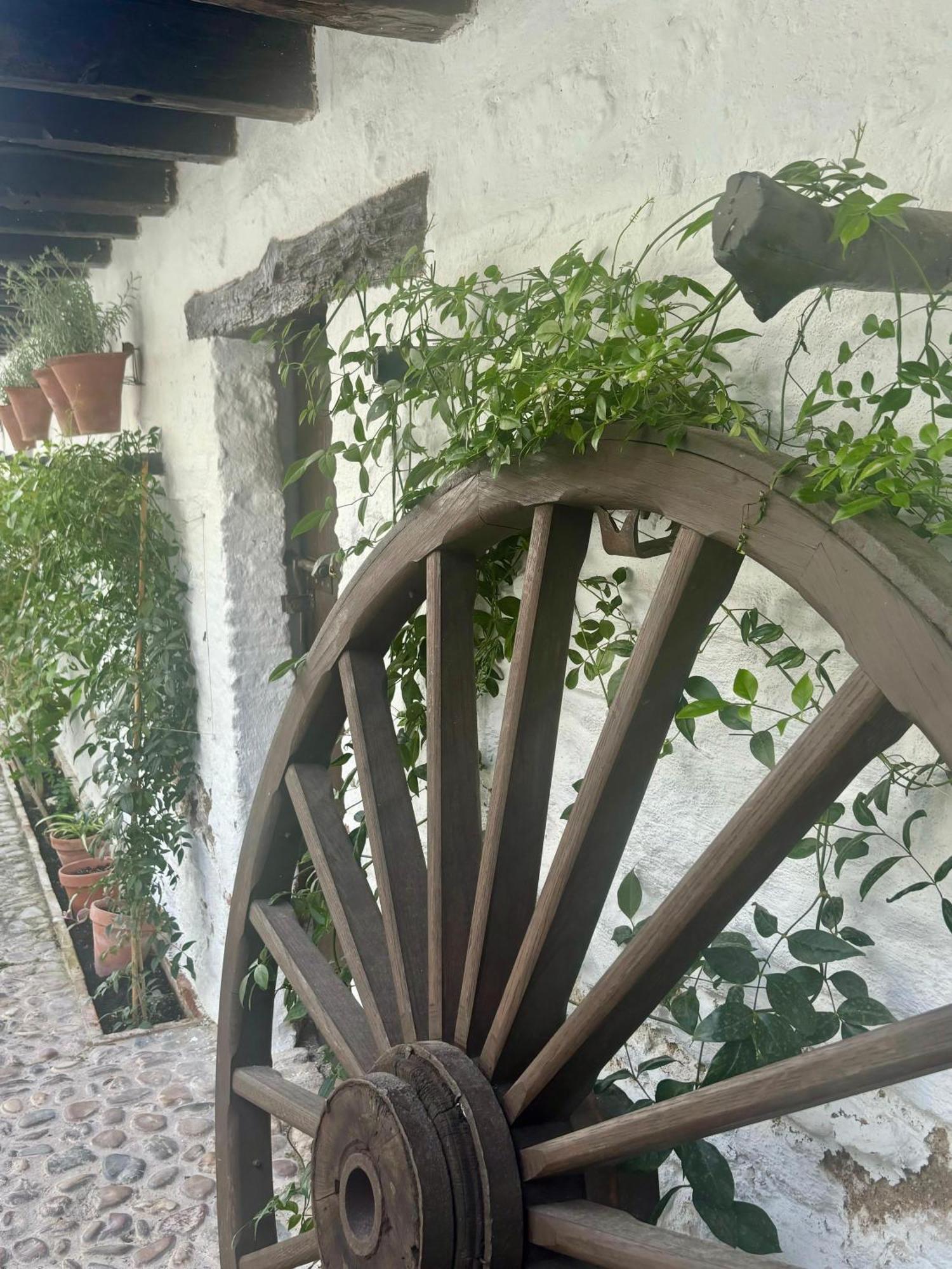 La Buganvilla De Santiago Кордоба Екстериор снимка