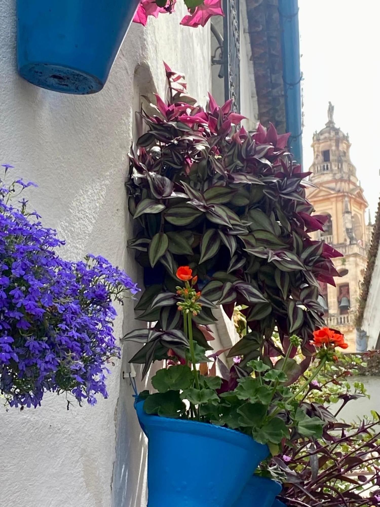 La Buganvilla De Santiago Кордоба Екстериор снимка