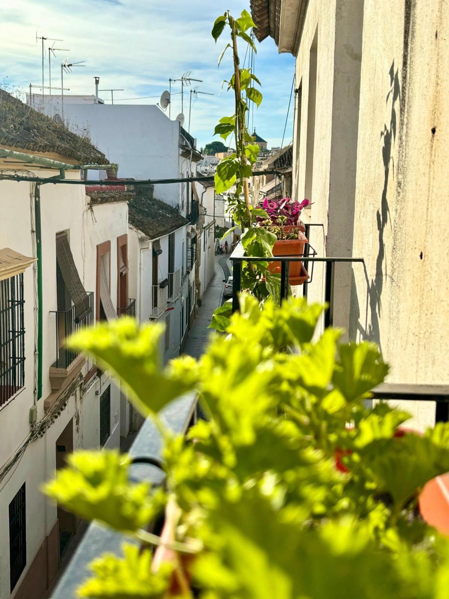 La Buganvilla De Santiago Кордоба Екстериор снимка